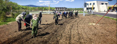 35e469b1a6052737a7e2d7bb912765cc.png
